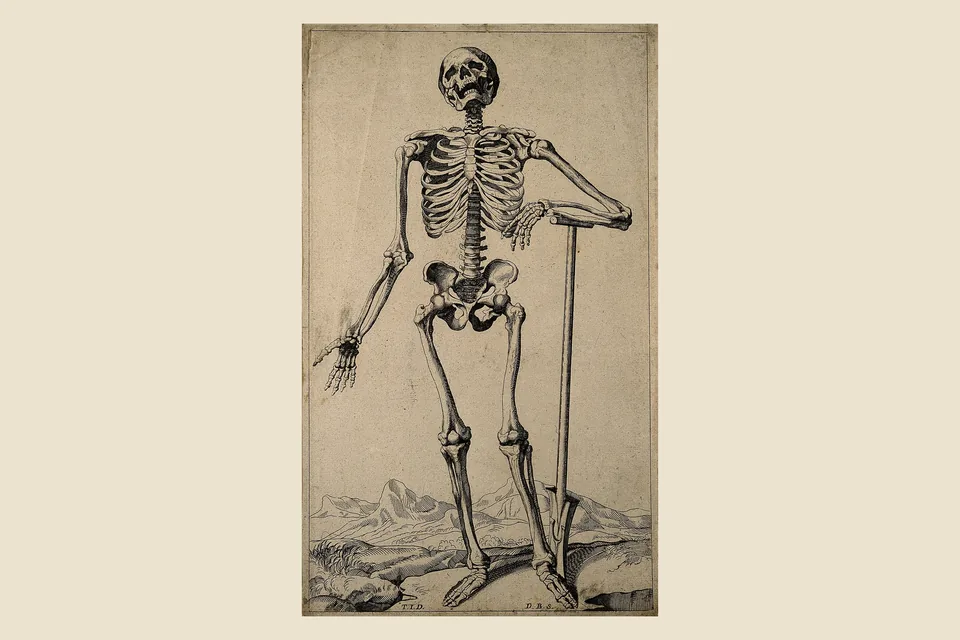 An old copperplate engraving of a full human skeleton standing in a landscape, one arm resting on a spade